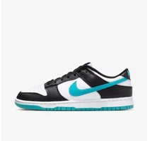 Tênis Nike Dunk Low Retro Masculino