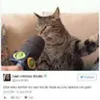 Avatar gatodomeuvizinho_