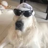 pgidio