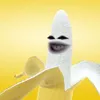 Avatar celsoursohumano