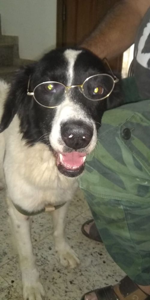 Imagem do comentário