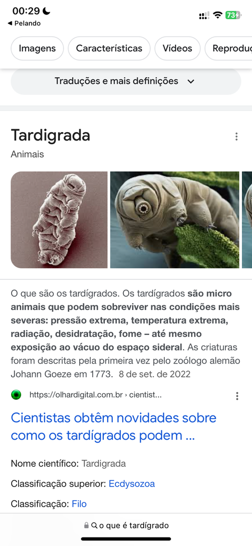 Imagem do comentário