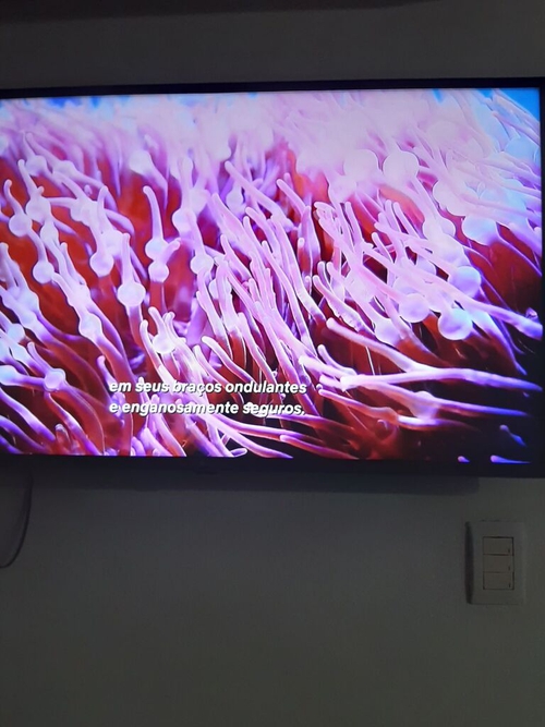 4681108.jpg