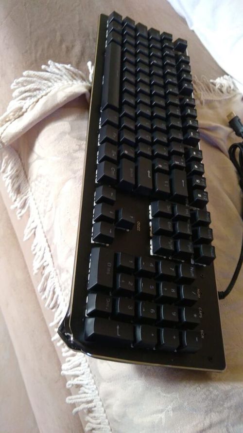 6858050-zmye2.jpg