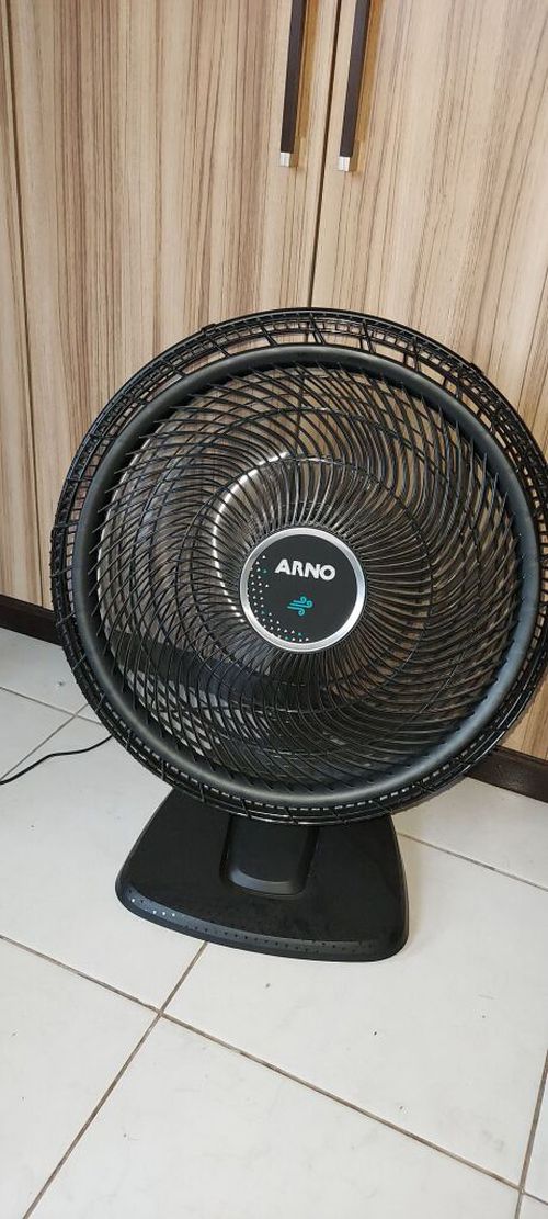 6150409.jpg