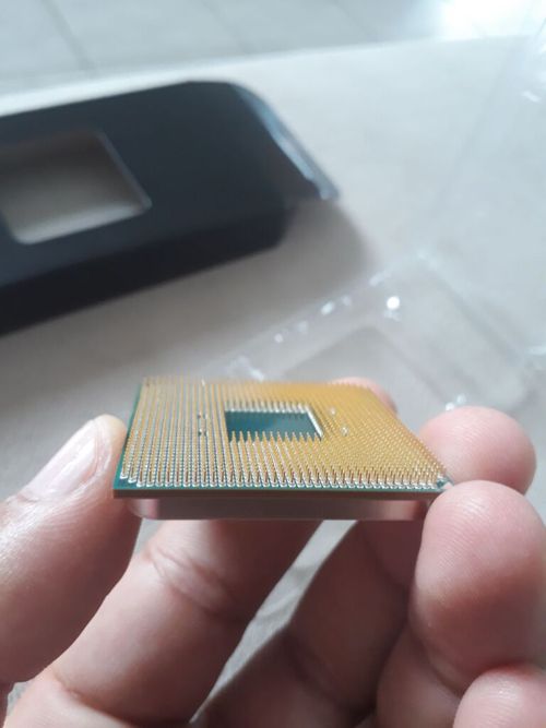 6064830.jpg