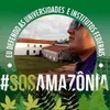 Avatar edsonbarreto