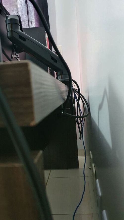 4954316.jpg