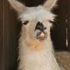 Avatar lasthope