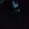 Avatar mr.semnome_