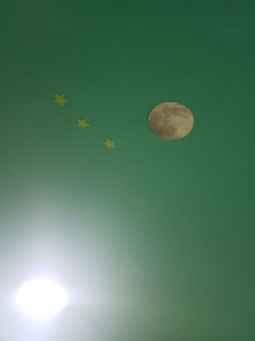 3350977-ctU9d.jpg