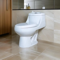 Vaso sanitário porcelana monobloco e assento soft close