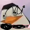 Avatar pinguimfofo