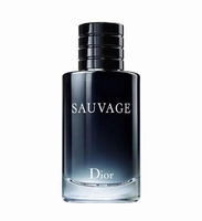 Sauvage Masculino Eau De Toilette 100Ml