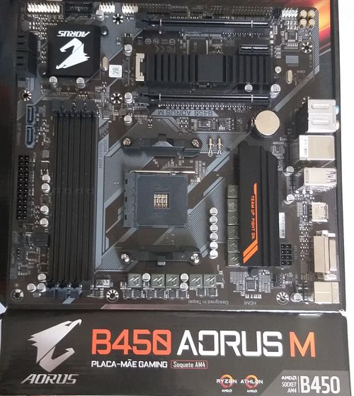 4902558-145lQ.jpg