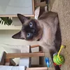 Avatar ludgdac