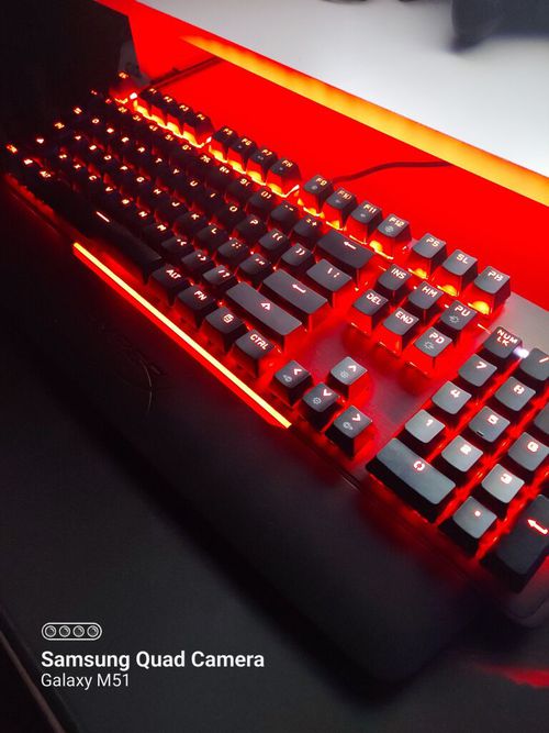 6986023-Qocp9.jpg