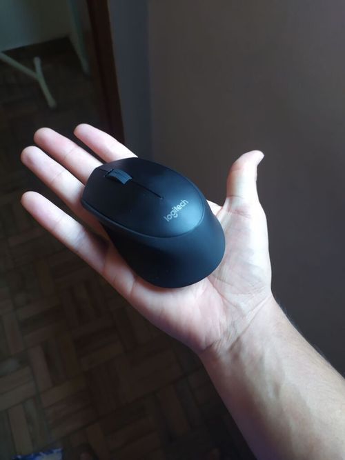 5532615.jpg