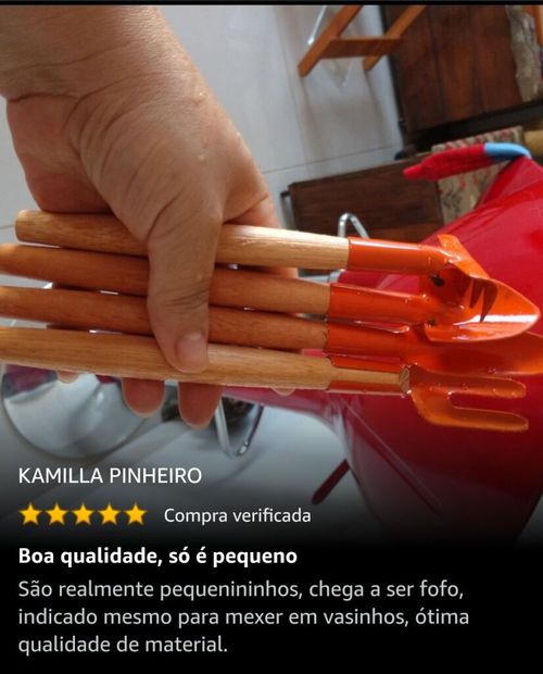 6245641.jpg