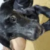 Avatar silchoairy