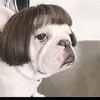 Avatar mamabraco
