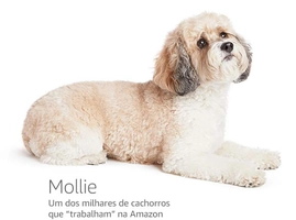 Biscoito Maizena Tostines 200g | R$ 3