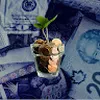 Avatar capivaradosvouchers2988