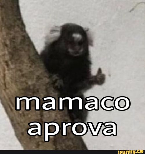 Imagem do comentário
