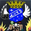 Avatar cots_cotocoshue