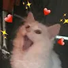 Avatar rafacaju
