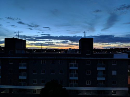 3537295.jpg