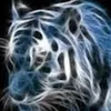 Avatar familiaconsumo
