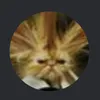 Avatar klouco