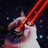 Avatar robsonlara
