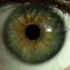 Avatar marco_antoniohen
