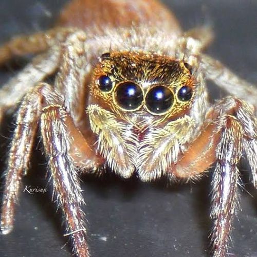 4061677-prtFg.jpg