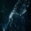 Avatar 7msarraff