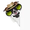 Avatar rogeriomagalhaes