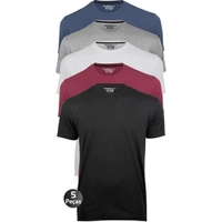 Kit 5 Camisetas Masculinas Básica Lisa Algodão 30.1 Premium
