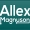 @allex_magnuson