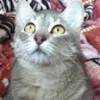 Avatar shair_winch