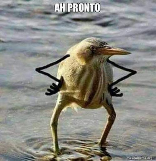 5265565-bzLIx.jpg