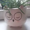 Avatar anapaullalopest