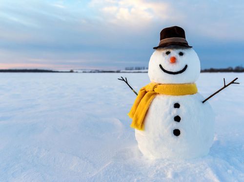 Snowman-1045x780.jpg