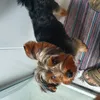 Avatar bvlopes7