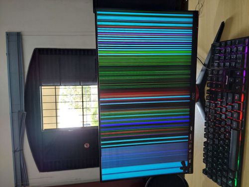 6362549-Ql5tr.jpg