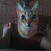 Avatar felipe.cassiano