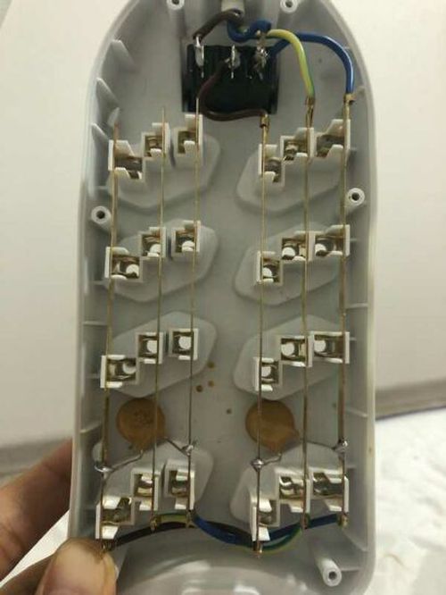 4839866.jpg