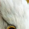Avatar aguiasuperofertas