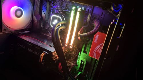 7251165.jpg